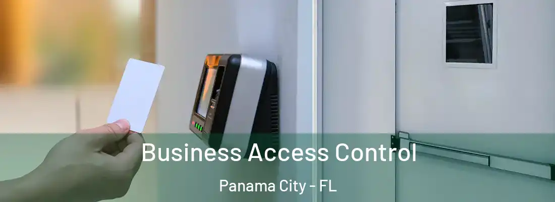 Business Access Control Panama City - FL