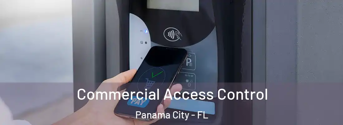  Commercial Access Control Panama City - FL