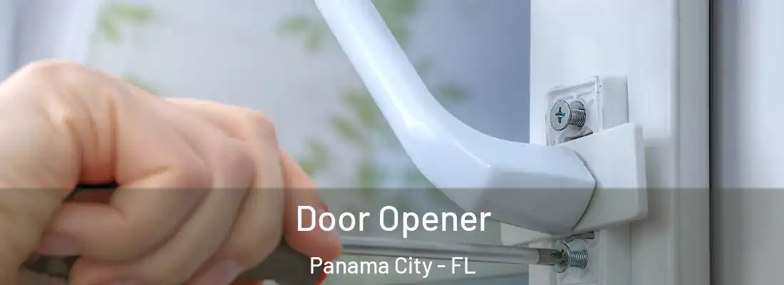  Door Opener Panama City - FL