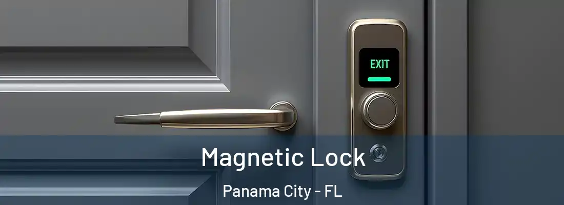  Magnetic Lock Panama City - FL